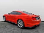 2015 Mustang Thumbnail 6