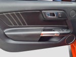 2015 Mustang Thumbnail 9