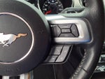 2015 Mustang Thumbnail 19