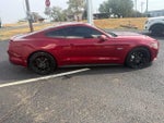 2015 Mustang Thumbnail 6