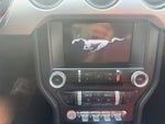 2015 Mustang Thumbnail 13