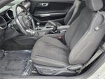 2018 Mustang Thumbnail 9