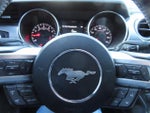 2018 Mustang Thumbnail 18