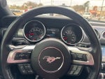 2018 Mustang Thumbnail 18