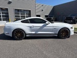 2019 Mustang Thumbnail 2