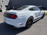 2019 Mustang Thumbnail 3