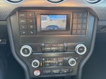 2019 Mustang Thumbnail 11