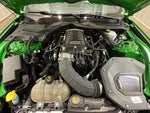 2019 Mustang Thumbnail 13