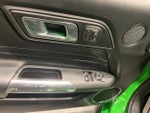 2019 Mustang Thumbnail 14
