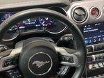 2019 Mustang Thumbnail 25