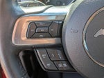 2020 Mustang Thumbnail 14