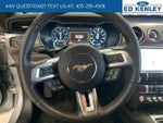 2020 Mustang Thumbnail 10