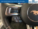 2020 Mustang Thumbnail 11