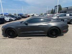 2020 Mustang Thumbnail 8