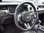 2020 Mustang Thumbnail 21