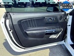2021 Mustang Thumbnail 13
