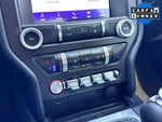 2021 Mustang Thumbnail 24