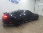 2021 Mustang Thumbnail 7
