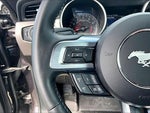 2022 Mustang Thumbnail 18