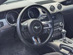 2023 Mustang Thumbnail 11