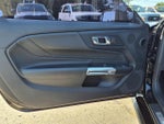 2024 Mustang Thumbnail 11