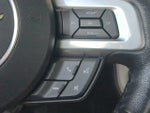 2015 Mustang Thumbnail 24