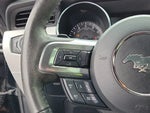 2015 Mustang Thumbnail 22