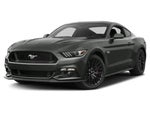 2015 Mustang Thumbnail 4