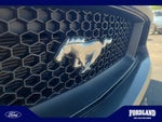 2016 Mustang Thumbnail 23