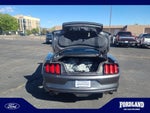 2016 Mustang Thumbnail 31