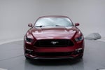 2016 Mustang Thumbnail 5