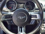 2016 Mustang Thumbnail 15