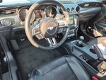 2017 Mustang Thumbnail 17