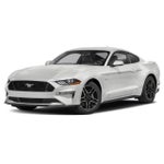 2019 Mustang Thumbnail 1