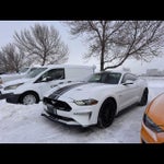 2019 Mustang Thumbnail 2