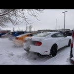 2019 Mustang Thumbnail 3