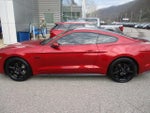 2020 Mustang Thumbnail 6