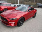 2020 Mustang Thumbnail 7