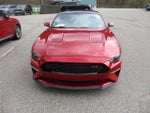 2020 Mustang Thumbnail 8