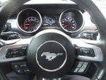 2020 Mustang Thumbnail 18