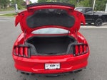 2020 Mustang Thumbnail 9