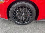 2020 Mustang Thumbnail 12