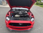 2020 Mustang Thumbnail 17