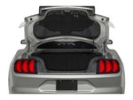 2020 Mustang Thumbnail 13