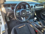 2020 Mustang Thumbnail 10