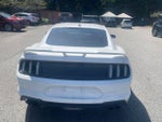 2021 Mustang Thumbnail 8