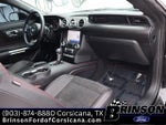 2021 Mustang Thumbnail 18