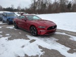 2022 Mustang Thumbnail 1