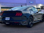 2022 Mustang Thumbnail 3