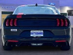 2022 Mustang Thumbnail 4